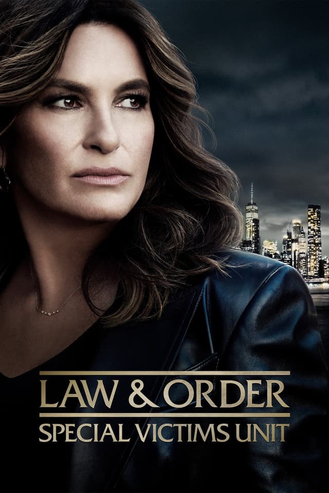 Law & Order: Special Victims Unit' poster
