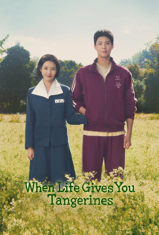 폭싹 속았수다' poster
